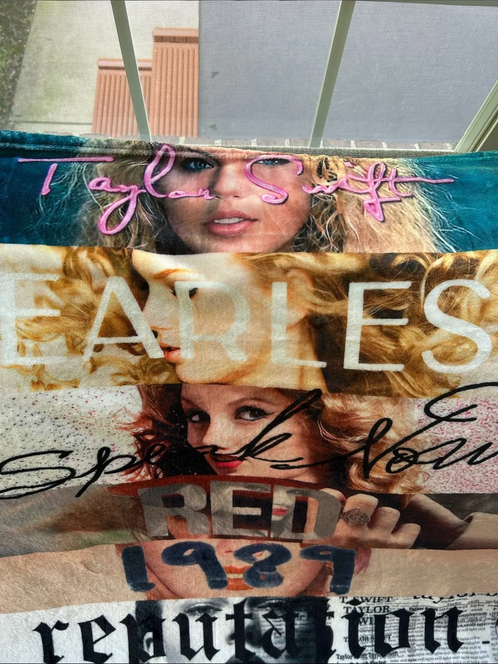 Taylor Swift display decor